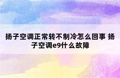 扬子空调正常转不制冷怎么回事 扬子空调e9什么故障